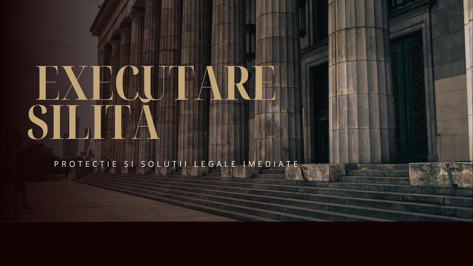 Brown Professional Lawyer Agency Presentation (5)